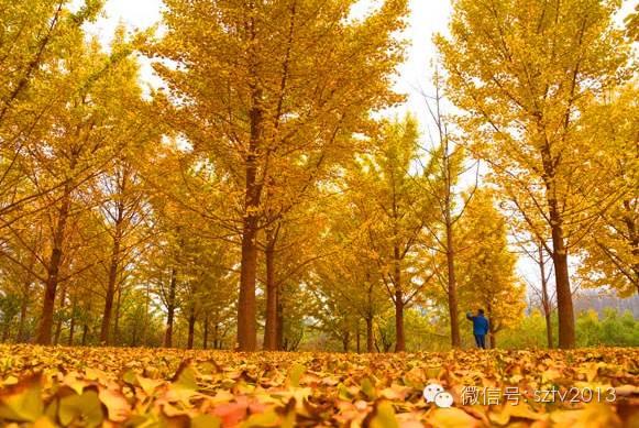 安徽凤台房价_安徽凤台_安徽省凤台县乡镇