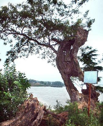 江塘集中营洗澡在哪几_凤台小鱼网尚塘烧秆_凤台尚塘乡洗澡