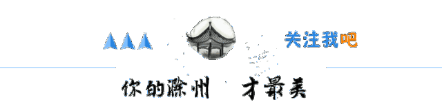 安徽固镇县政府网_安徽凤台县政府网_安徽政府网