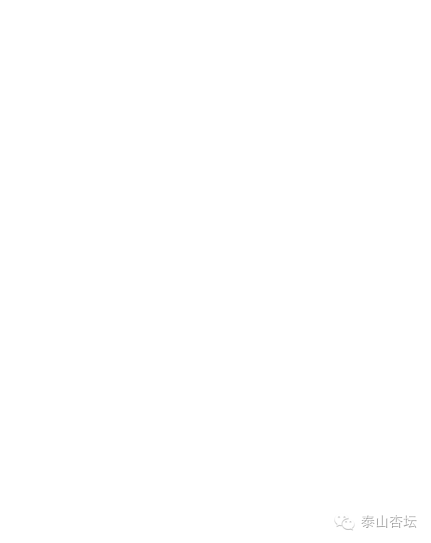 泰山区凤台中学_凤台精忠中学叶苗苗_凤台精忠中学怎么样