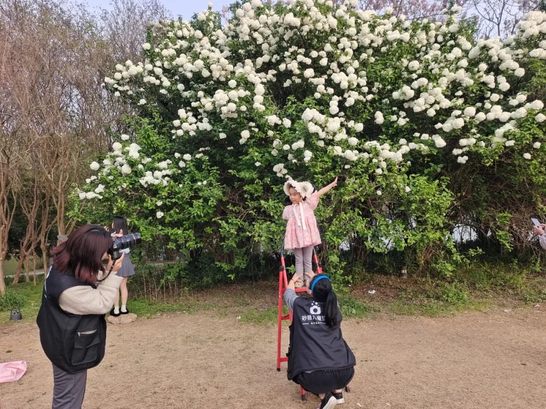 1月22日凤台天气_凤台天气预报_天气襄阳预报15天天气