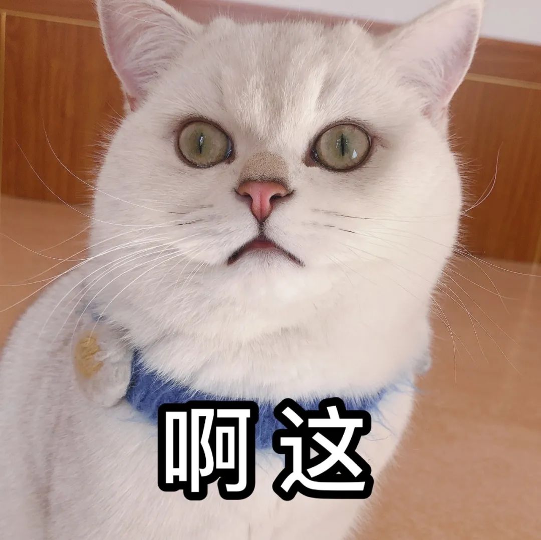 凤台天气预报_墨迹天气威县天气十五天预报_青岛天气20天预报预报