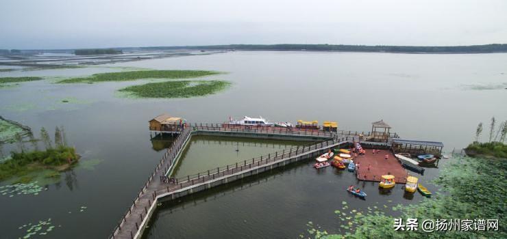王凤台_凤台小鱼网凤台实验小学_王凤台