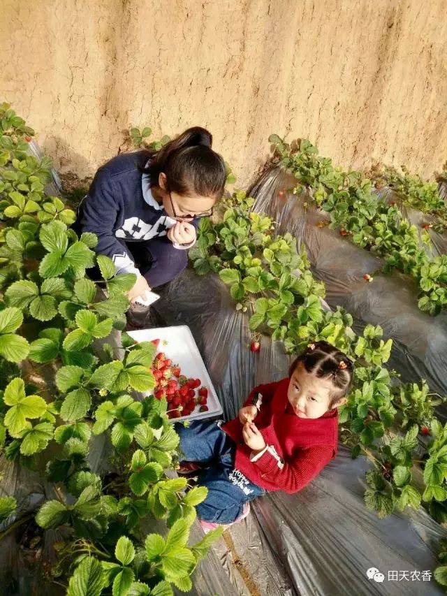 开发区栖里凤台山庄3期_栖山庄赛美蓉长相思白葡萄酒_栖里凤台山庄