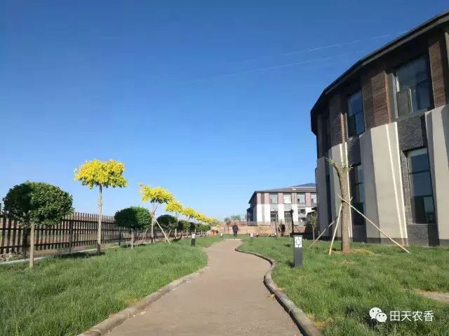 栖里凤台山庄_栖山庄赛美蓉长相思白葡萄酒_开发区栖里凤台山庄3期