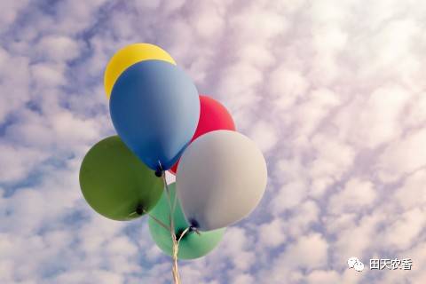 栖里凤台山庄_开发区栖里凤台山庄3期_栖山庄赛美蓉长相思白葡萄酒