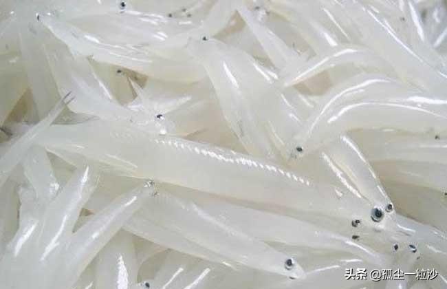 重庆新牌坊大队长火锅_最近的重庆大队长火锅 新牌坊_凤台香牌坊火锅