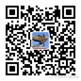凤台天气预报15天_凤台天气逐小时预报_鄂州天气30天预报天