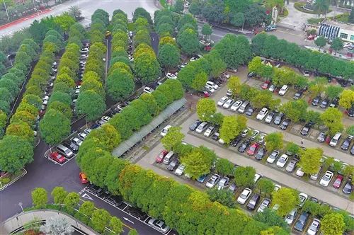 合肥瑶海区将建凤台路_合肥凤台路何时打通_合肥瑶海龙岗路