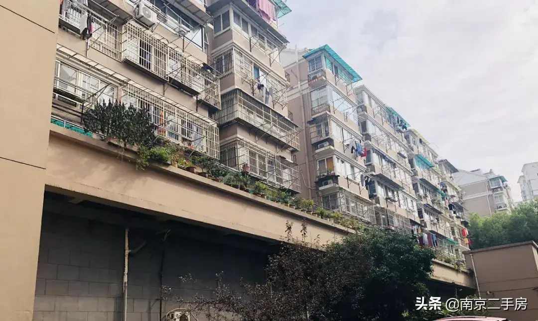 与河西一街之隔!曾经好评如潮,如今光环褪去,依旧不缺客户(图6) 合肥凤台路小区租房_竹子林小区房二手_凤台古城小区二手房