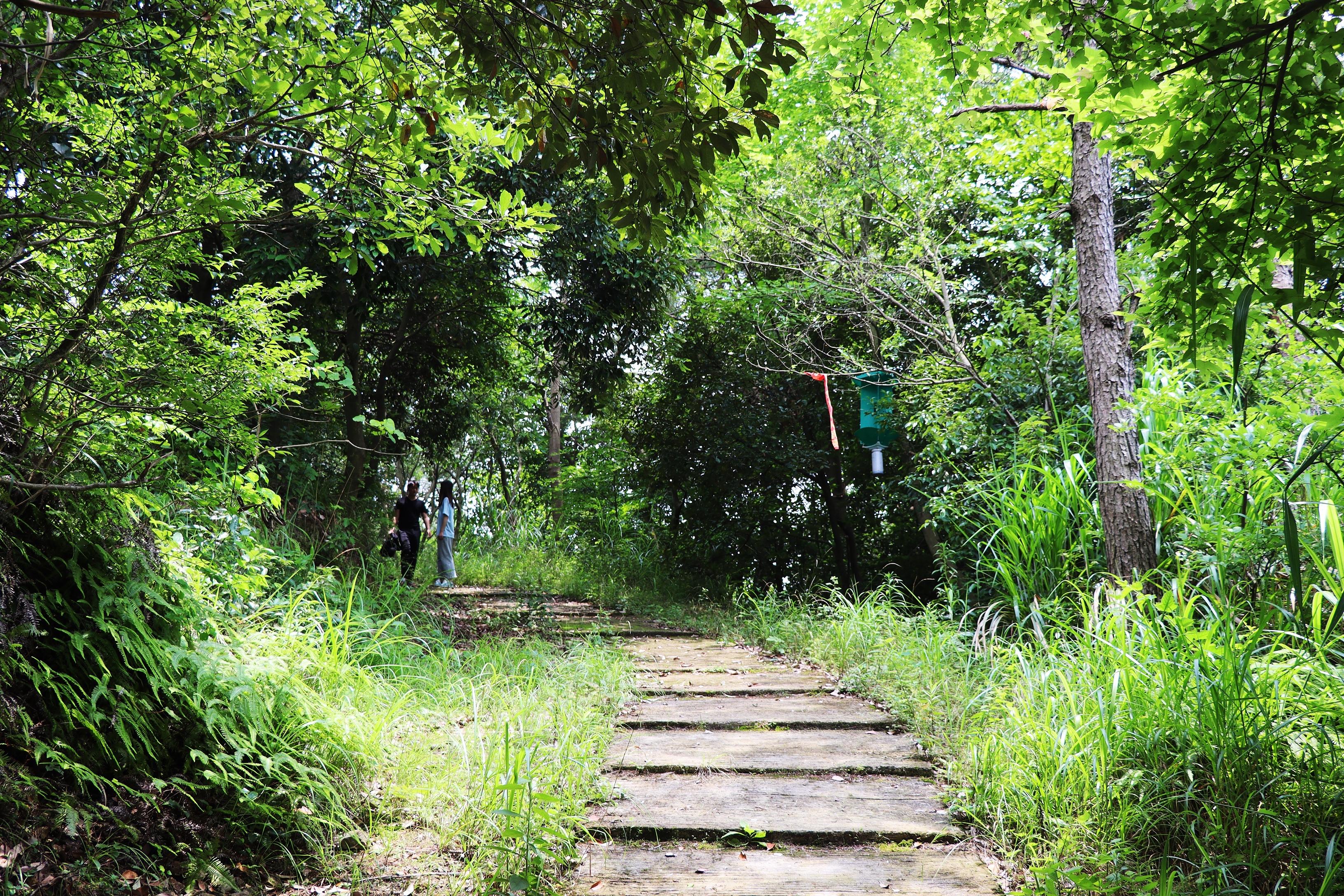 导航泰安市泰山区凤台村_凤台村_中国凤台