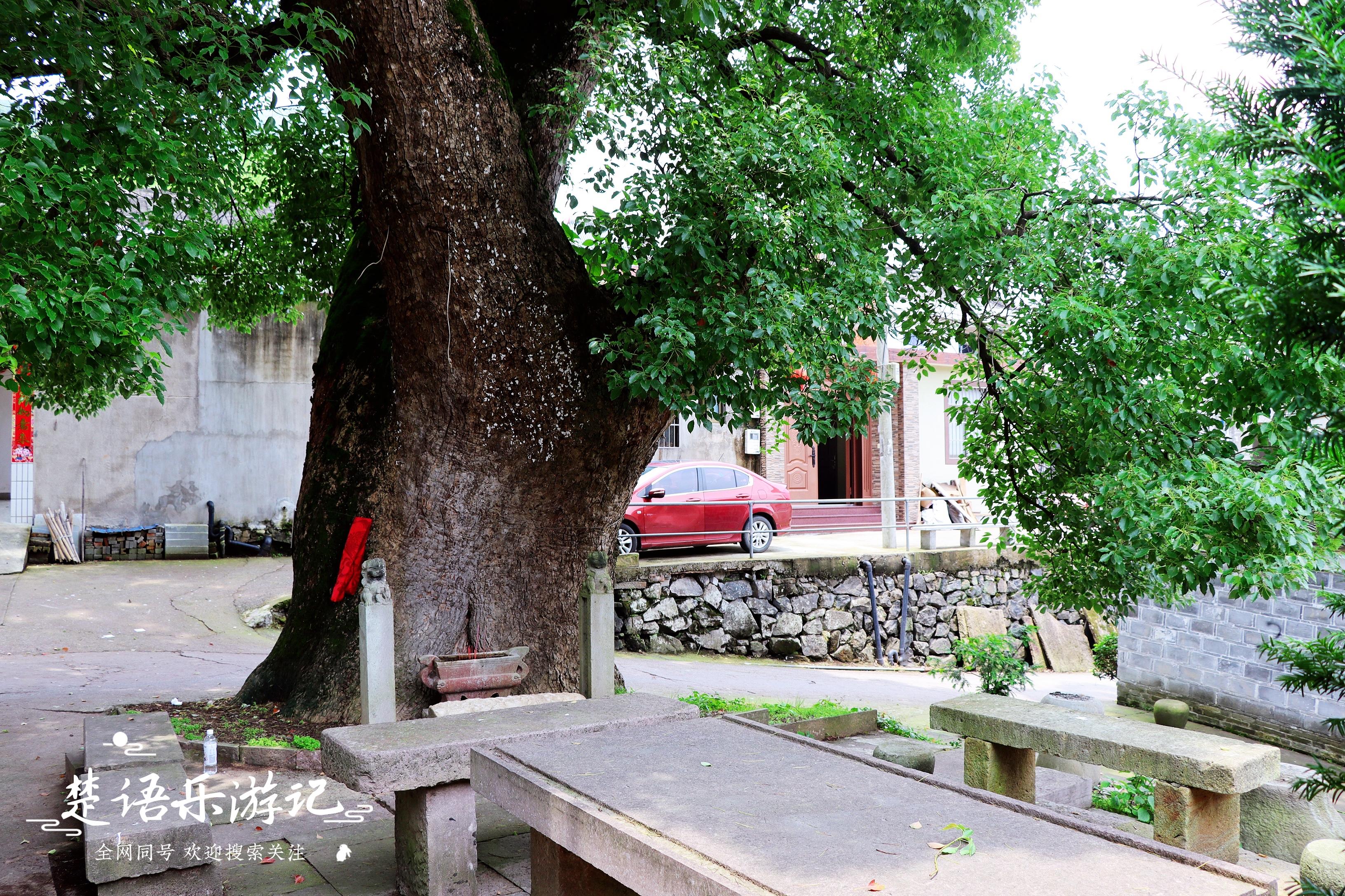 中国凤台_凤台村_导航泰安市泰山区凤台村