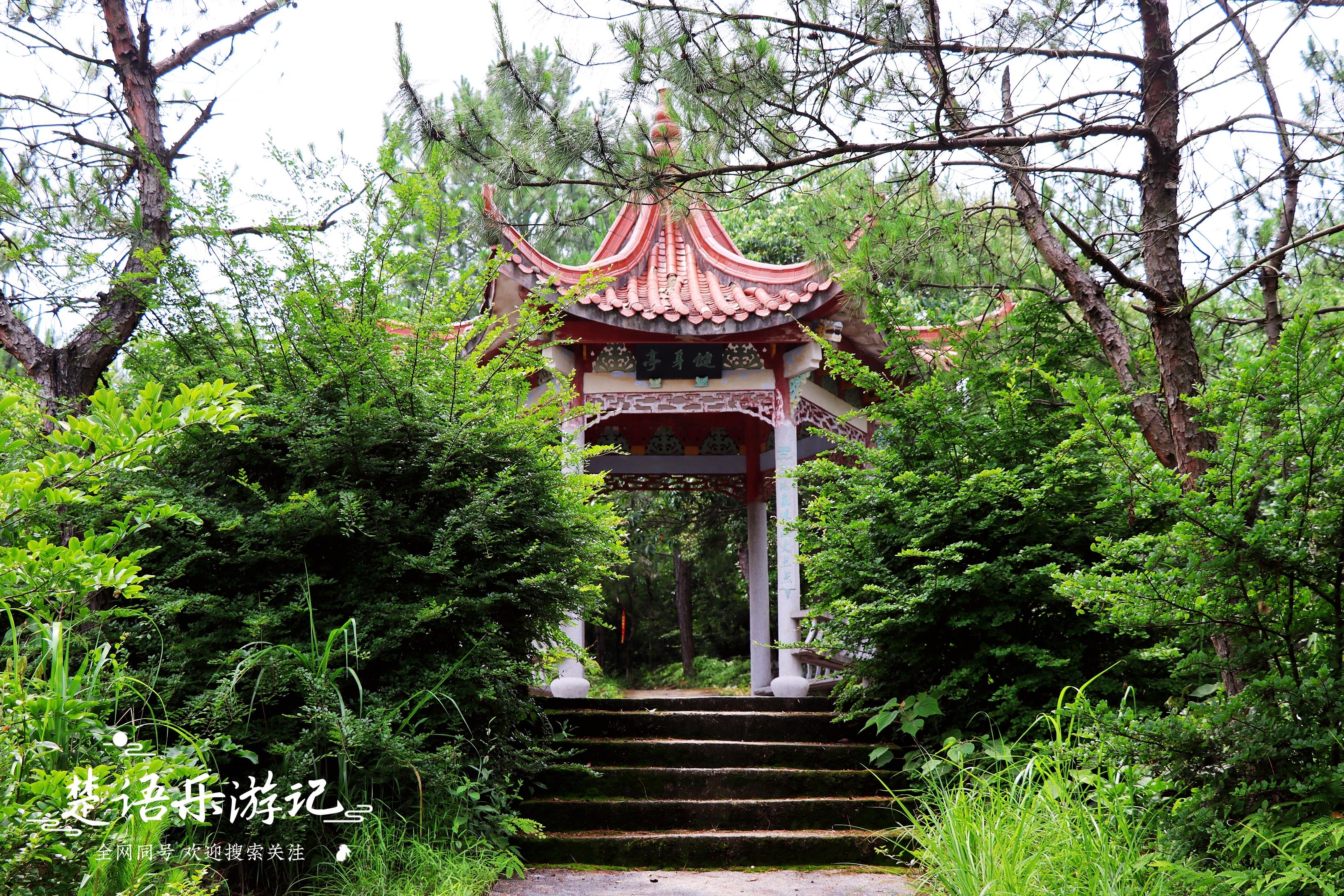 中国凤台_凤台村_导航泰安市泰山区凤台村