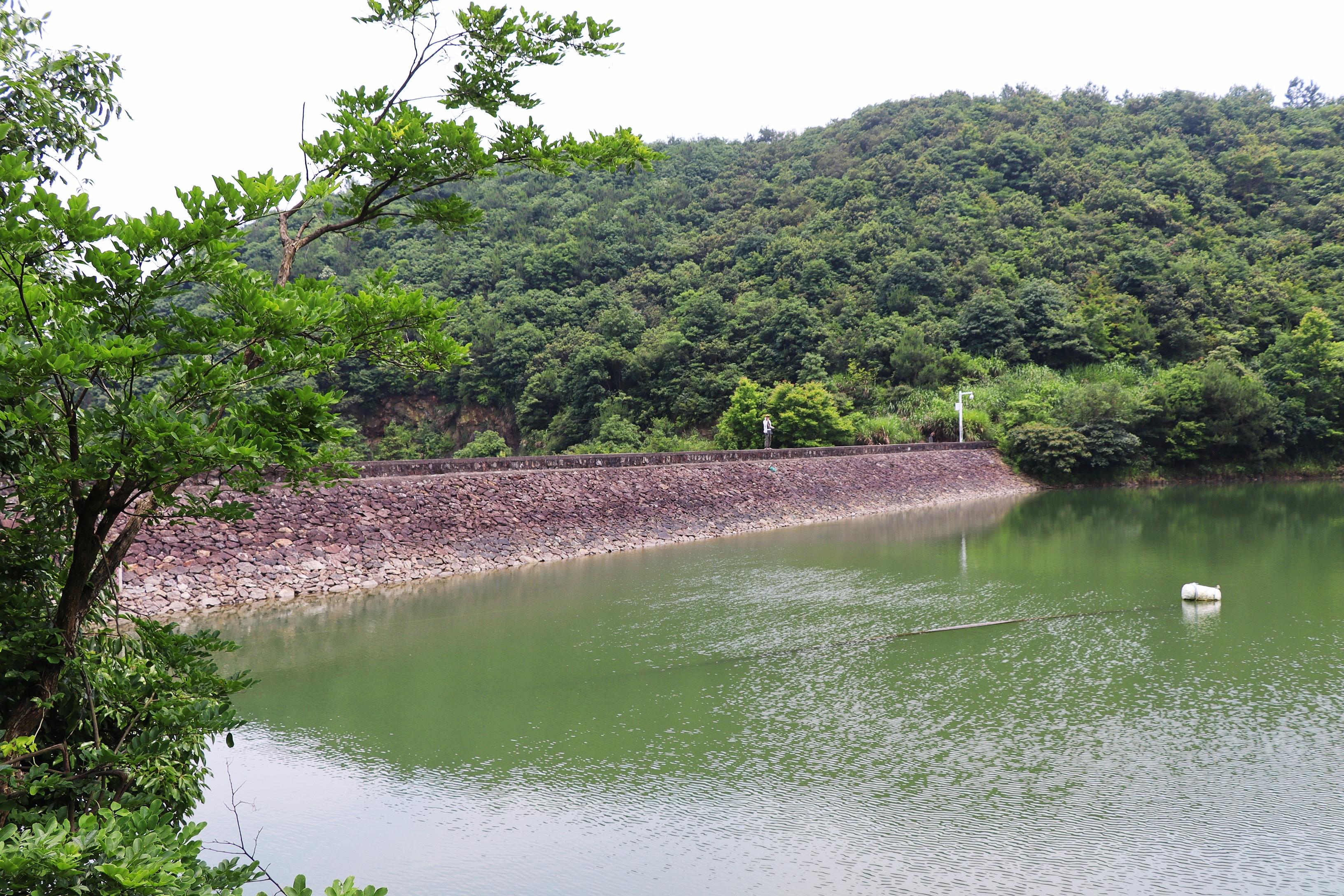 凤台村_中国凤台_导航泰安市泰山区凤台村