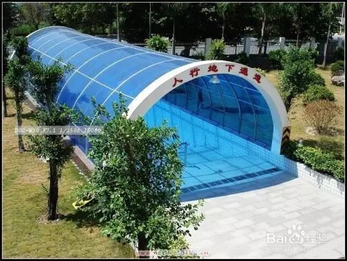 凤台古城宿舍图片_凤台一中银杏树图片_凤台小鱼网凤台实验小学