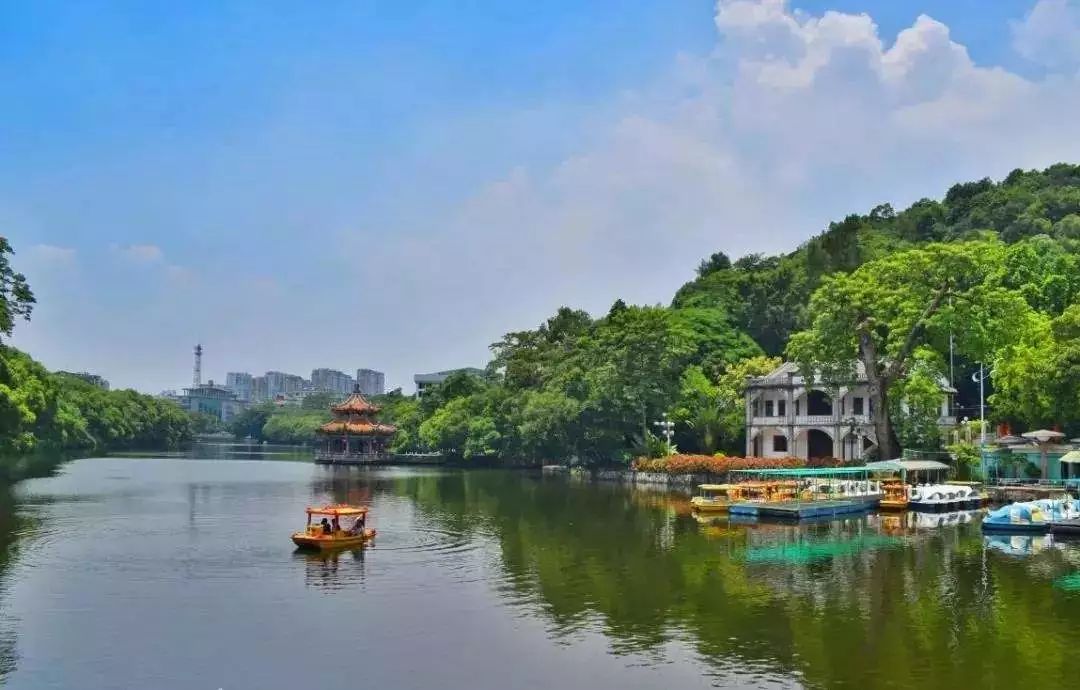 凤台古城宿舍图片_凤台小鱼网凤台实验小学_凤台一中银杏树图片