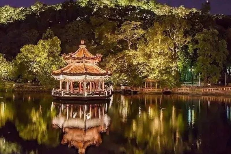 凤台小鱼网凤台实验小学_凤台一中银杏树图片_凤台古城宿舍图片