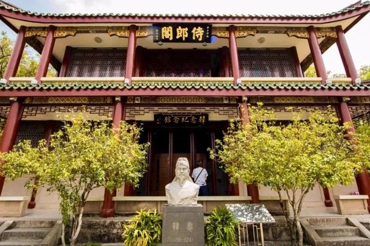 凤台一中银杏树图片_凤台小鱼网凤台实验小学_凤台古城宿舍图片