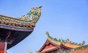 凤台小鱼网凤台实验小学_凤台古城宿舍图片_凤台一中银杏树图片