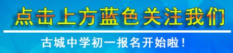 凤台精忠中学叶苗苗_凤台古城中学学费信息_凤台精忠中学高中
