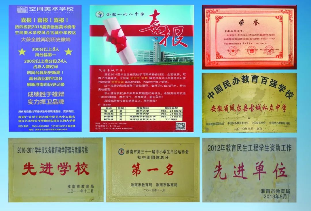 凤台精忠中学叶苗苗_凤台精忠中学高中_凤台古城中学学费信息