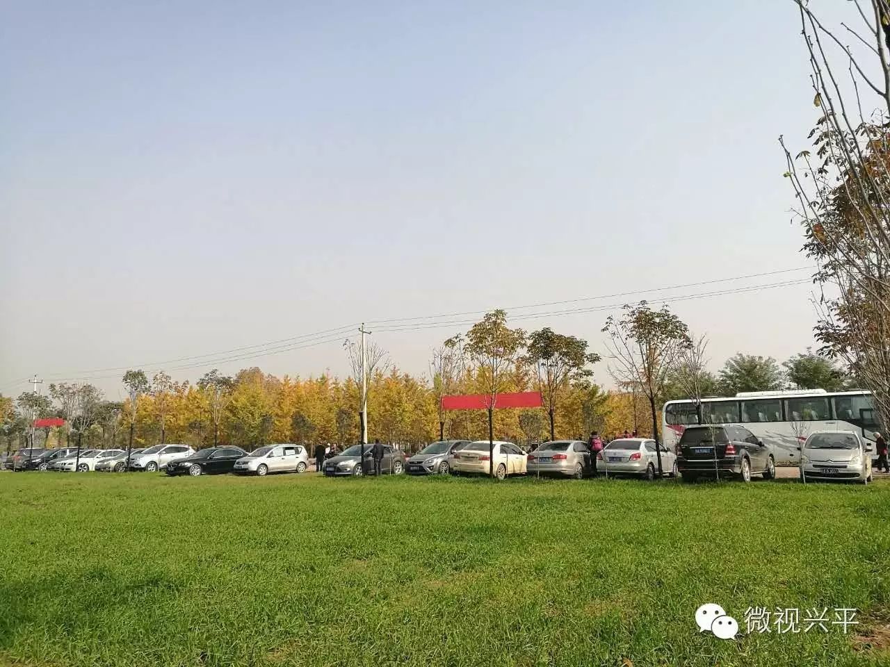 凤台一中今年高三寒假试卷答案_凤台一中银杏树_凤台一中相关信息