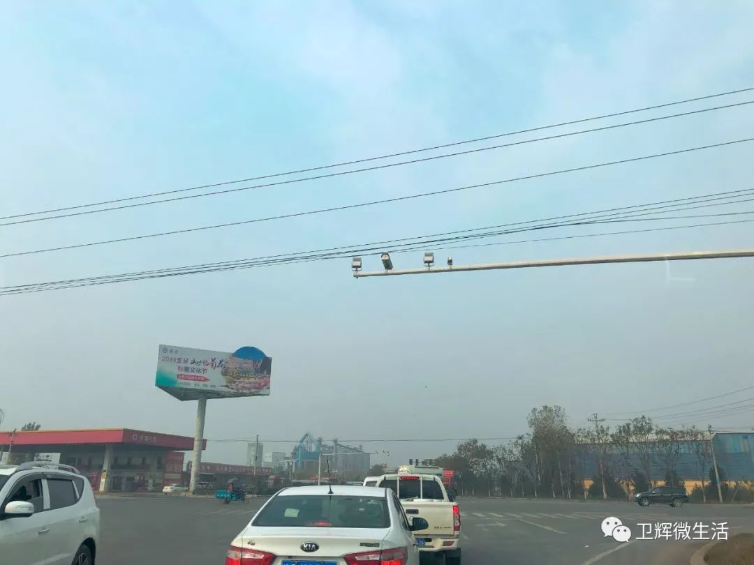 凤台一中开学时间_凤台一中银杏树_凤台一中