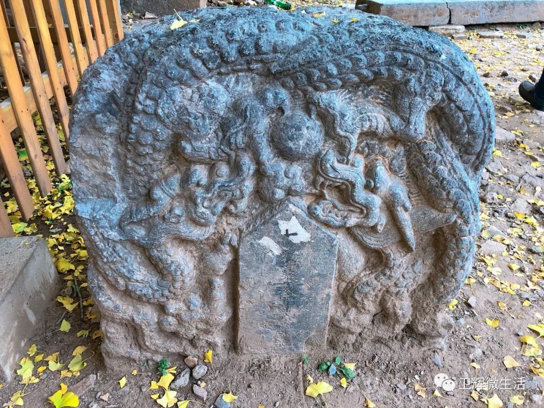 凤台一中_凤台一中开学时间_凤台一中银杏树