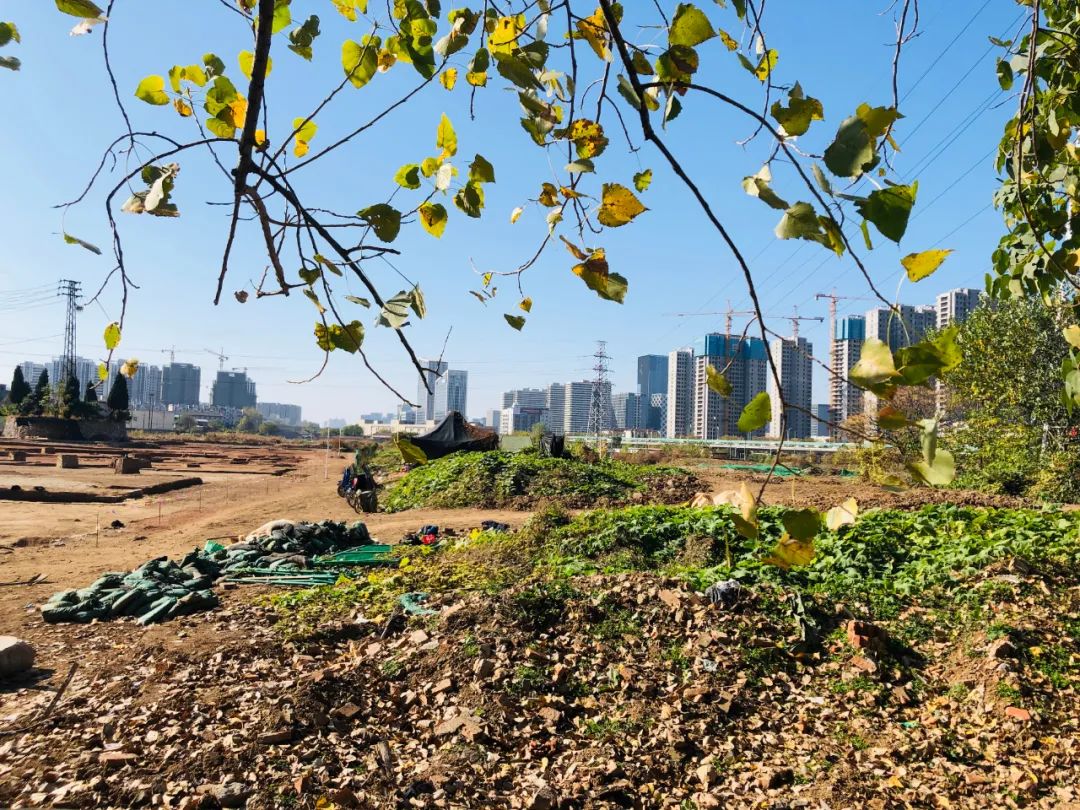 凤台南路二手房_烟台南迎祥路46号_烟台南迎祥路1号1单元