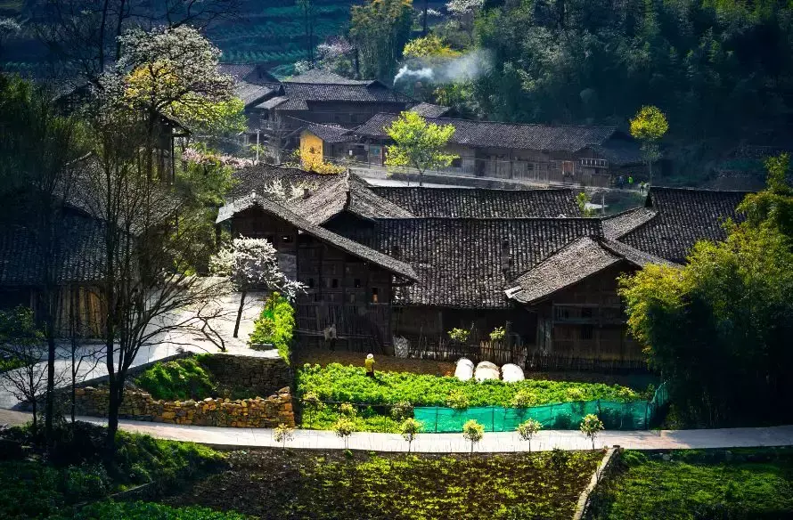 凤台南站离凤台多远_导航泰安市泰山区凤台村_凤台村