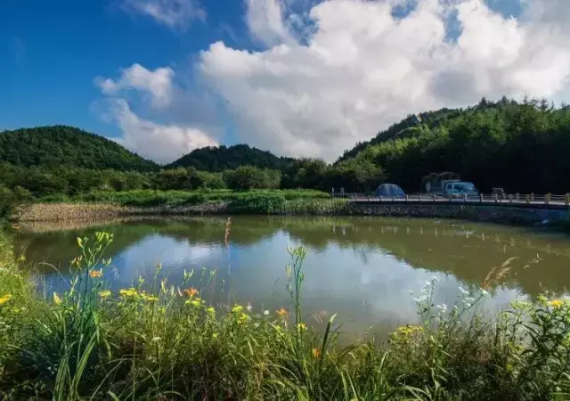 凤台村_凤台南站离凤台多远_导航泰安市泰山区凤台村