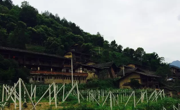 导航泰安市泰山区凤台村_凤台村_凤台南站离凤台多远