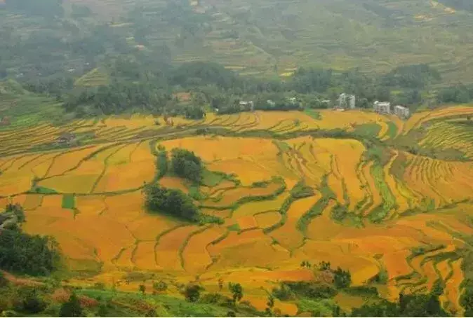 凤台村_导航泰安市泰山区凤台村_凤台南站离凤台多远