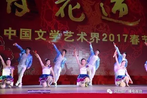 凤台花鼓灯艺术学校_安徽省省艺校是哪个学校_安徽省艺校招生办电话