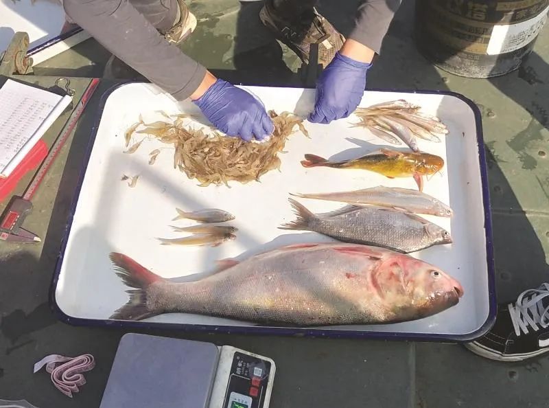 淮南淮河二桥_凤台淮河大桥_凤台淮河二桥