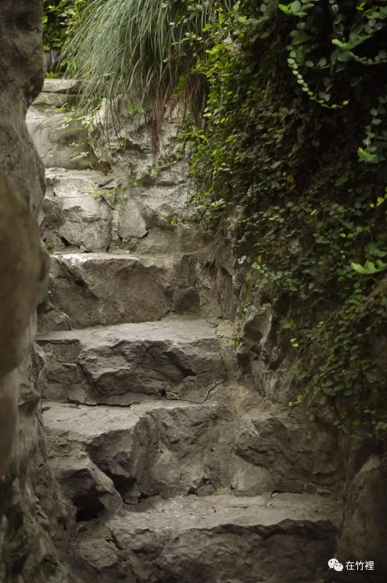 栖里凤台山庄户型_栖里凤台山庄_栖里凤台山庄二手房多层