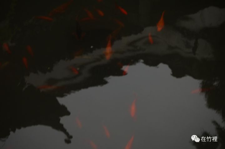 栖里凤台山庄_栖里凤台山庄二手房多层_栖里凤台山庄户型