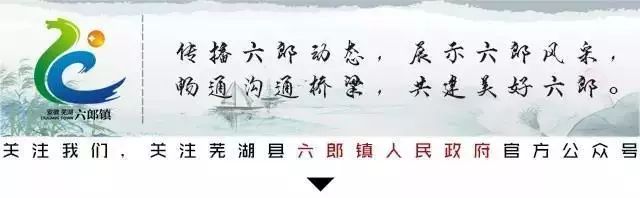 凤台领导班子_凤台县政府网官员名单_凤台县政府主任