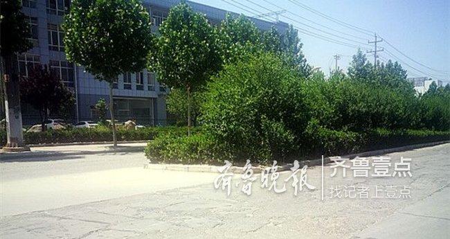 2022年合肥凤台路动工吗_合肥凤台路打通_合肥市凤台路新建工程