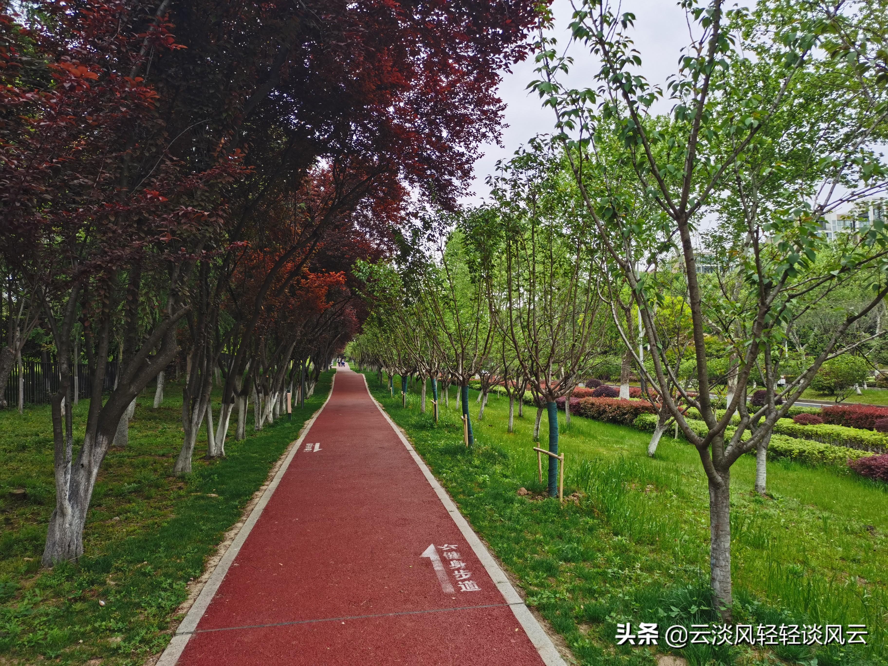 合肥凤台路小区租房_凤鸣路凤台路口_凤台路