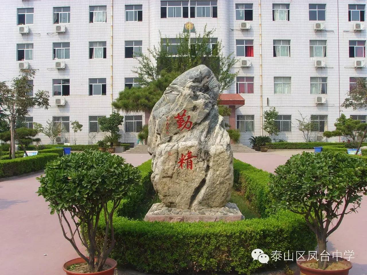 泰山区凤台中学_泰山区凤台学校_泰山中学要搬迁吗