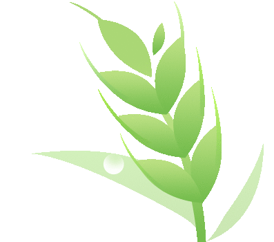 职场压力管理技巧心得体会_职场压力认知与管理技巧_职场中的压力管理