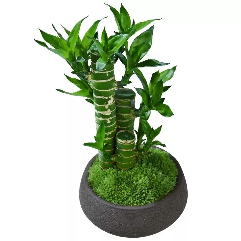 风水堂:办公室里的风水问题(图23) 职场 风水_职场风水哪个方位好_职场风水招财