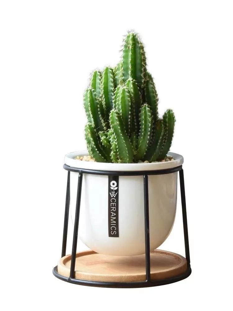 风水堂:办公室里的风水问题(图9) 职场风水招财_职场 风水_职场风水哪个方位好