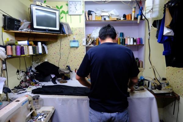 静安别墅红砖墙上的凌霄花20年(图11) 上海服装厂招大烫工_上海服装厂招工_上海服装厂大烫招聘