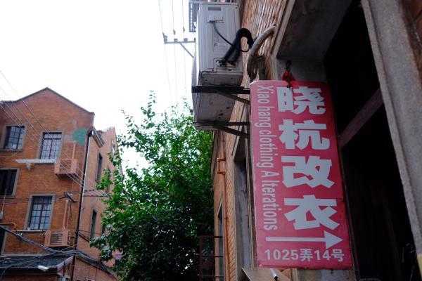 静安别墅红砖墙上的凌霄花20年(图10) 上海服装厂大烫招聘_上海服装厂招工_上海服装厂招大烫工