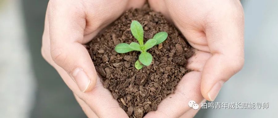 职场心法:职场业绩不是万能的!(图1) 职场博弈论_职场升职要懂博弈学_职场博弈全文免费阅读