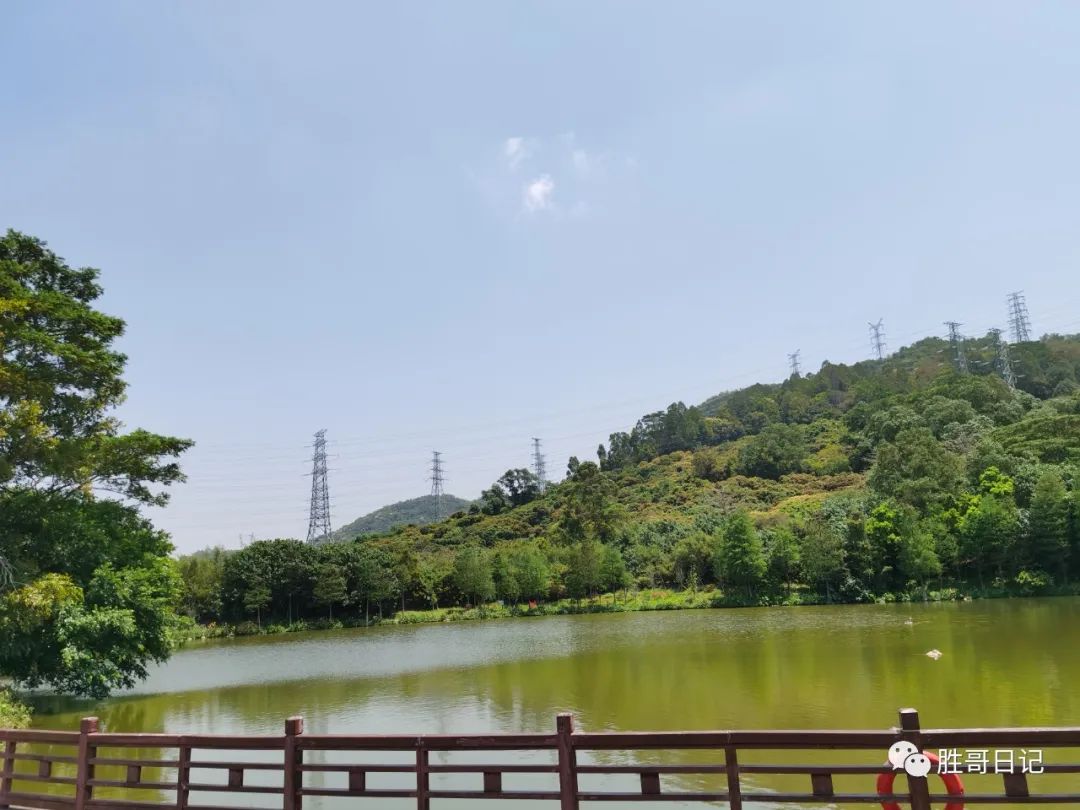 职场新人自我介绍_职场新人介绍自己_职场新人介绍ppt