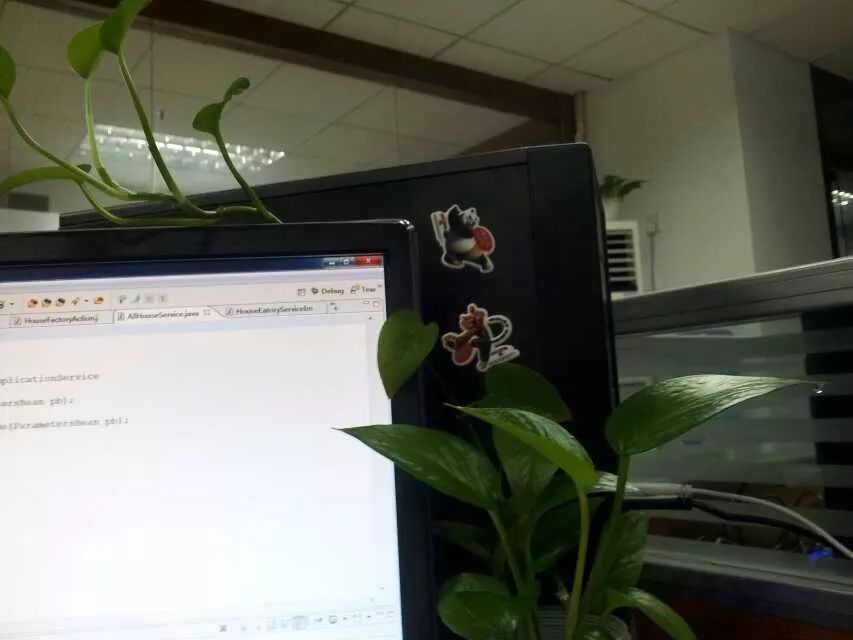 “女孩子读书有什么用”(深度好文)(图13) 深圳英语培训一般多少钱啊_深圳英语培训班多少钱一个月_深圳职场英语培训班