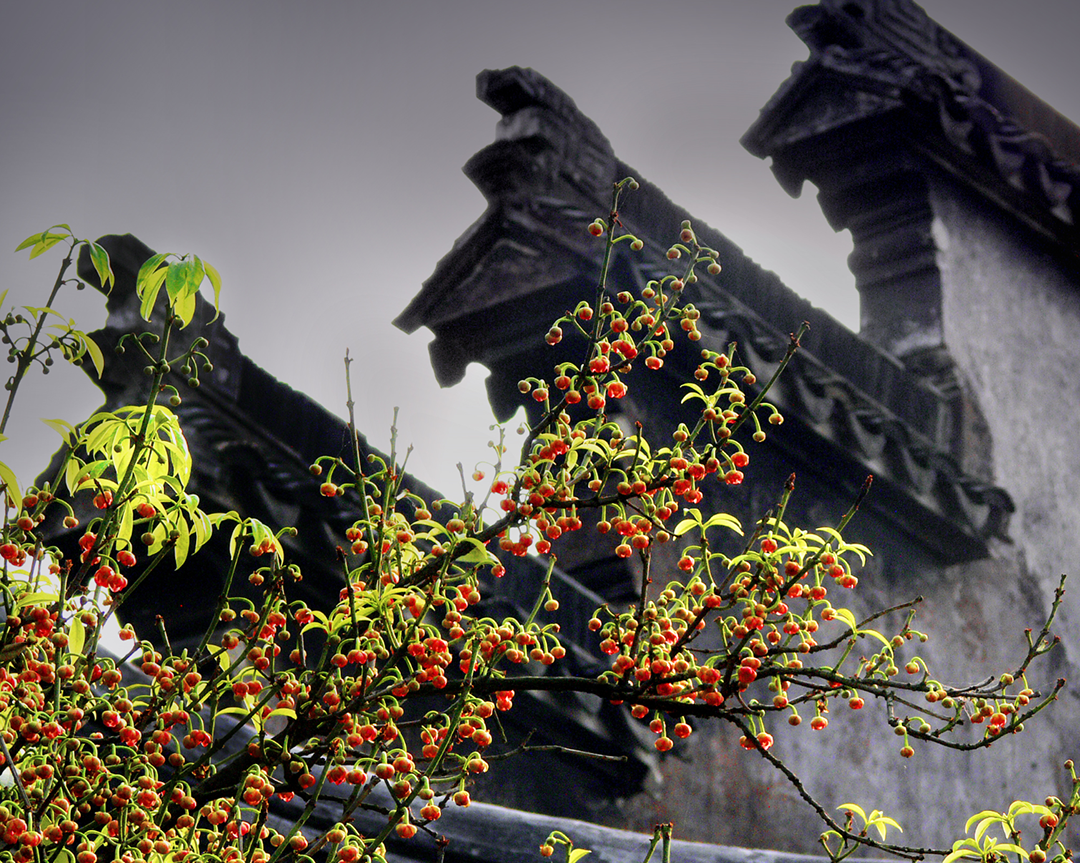 东山雕花楼招聘_东山雕花楼地址_东山招聘雕花楼盘信息